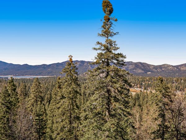 Big Bear Home 1022785