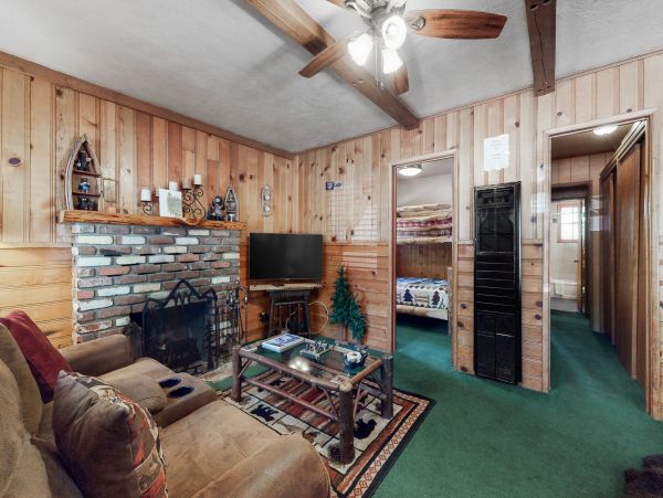 Big Bear Home 1022786