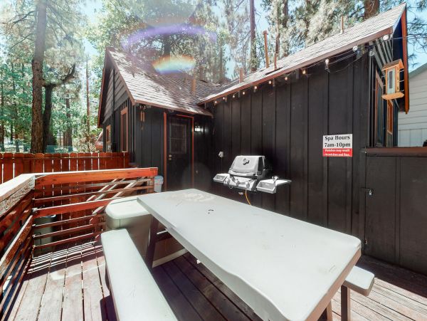 Big Bear Home 1022786