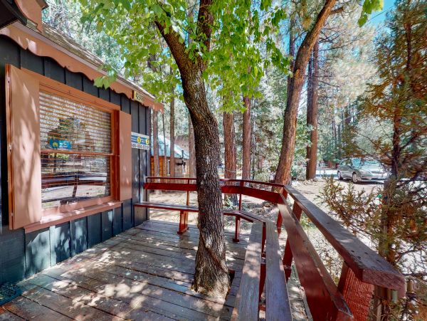 Big Bear Home 1022786