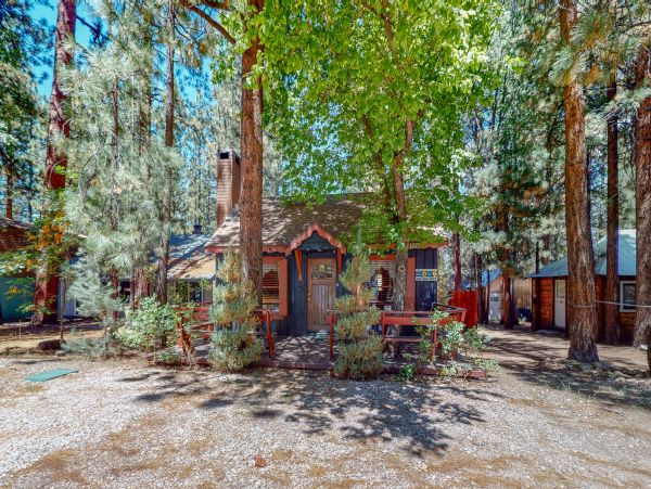 Big Bear Home 1022786
