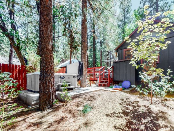 Big Bear Home 1022786