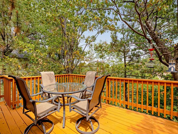Big Bear Home 1022788