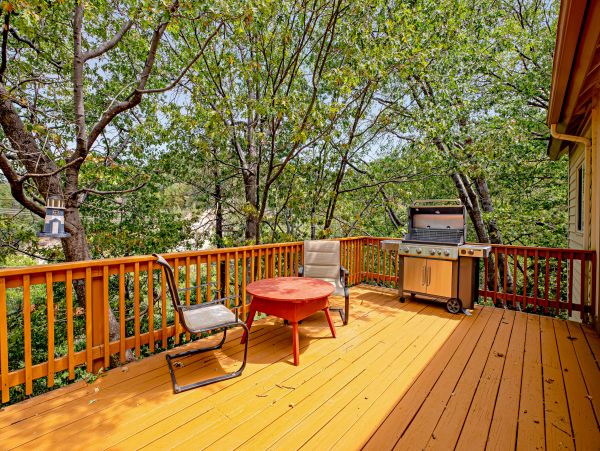 Big Bear Home 1022788