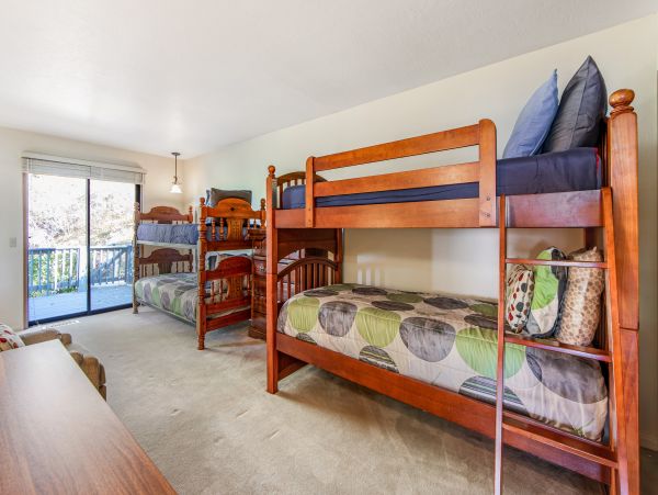 Big Bear Home 1022789