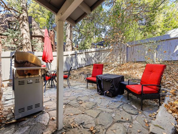 Big Bear Home 1022790