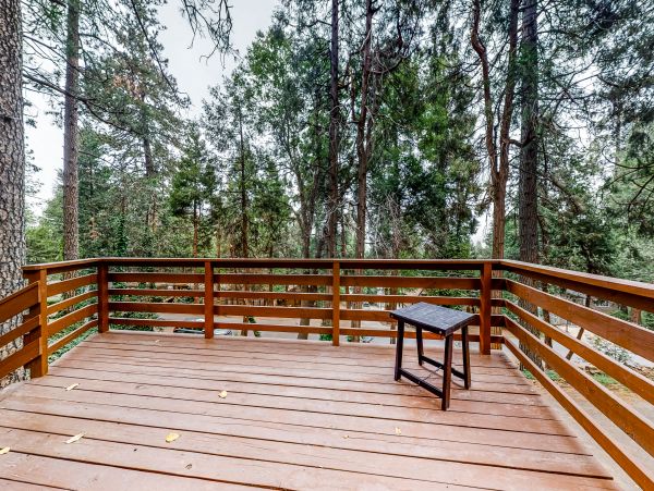 Big Bear Home 1022793