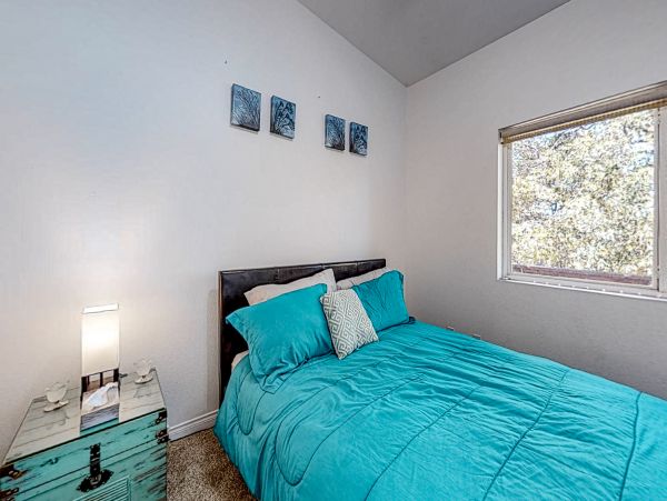 Big Bear Home 1022795