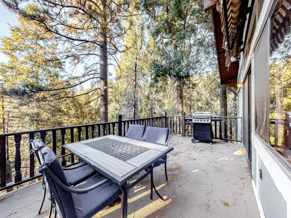 Big Bear Home 1022796