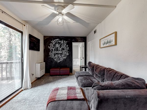 Big Bear Home 1022796