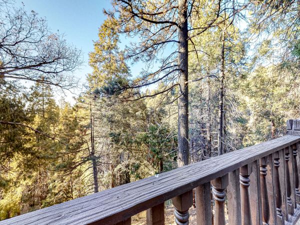 Big Bear Home 1022796