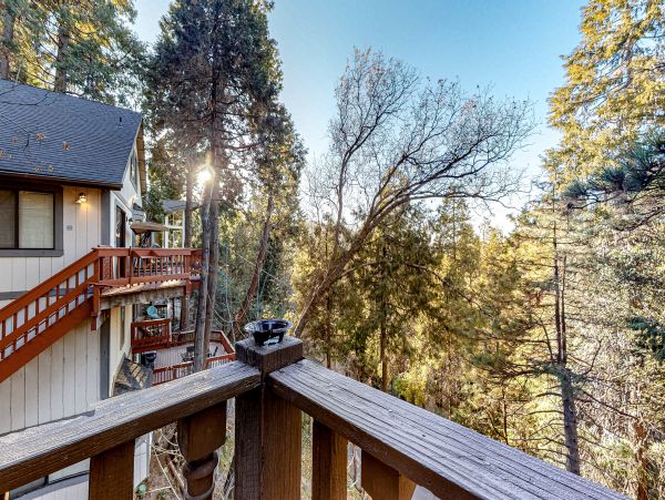 Big Bear Home 1022796