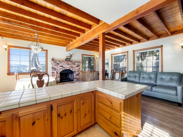 Big Bear Home 1022797