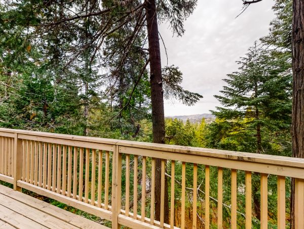 Big Bear Home 1022798