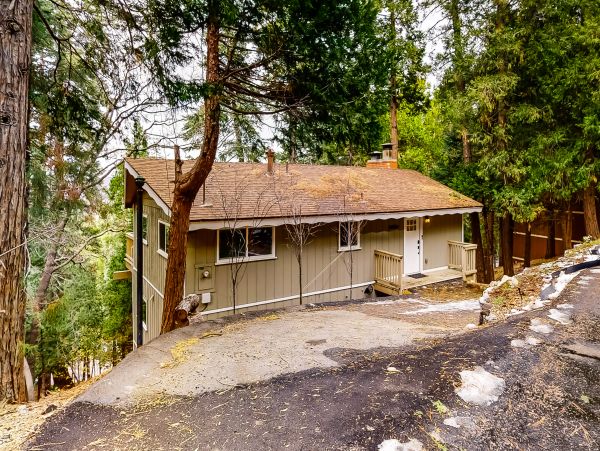 Big Bear Home 1022798