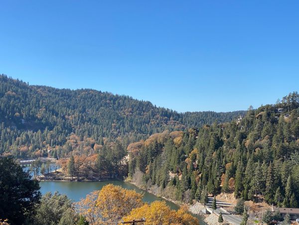 Big Bear Home 1022799
