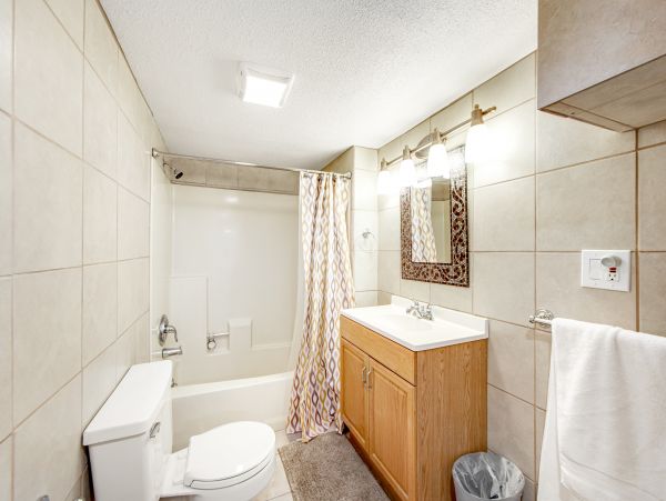 Big Bear Home 1022801