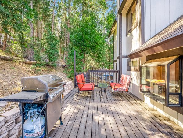 Big Bear Home 1022804
