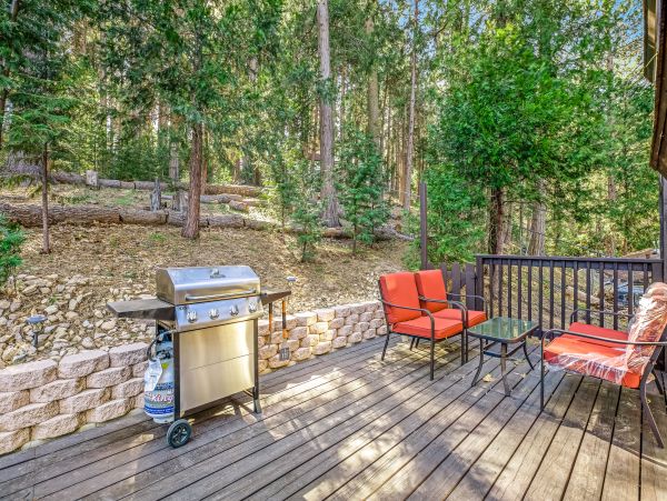 Big Bear Home 1022804