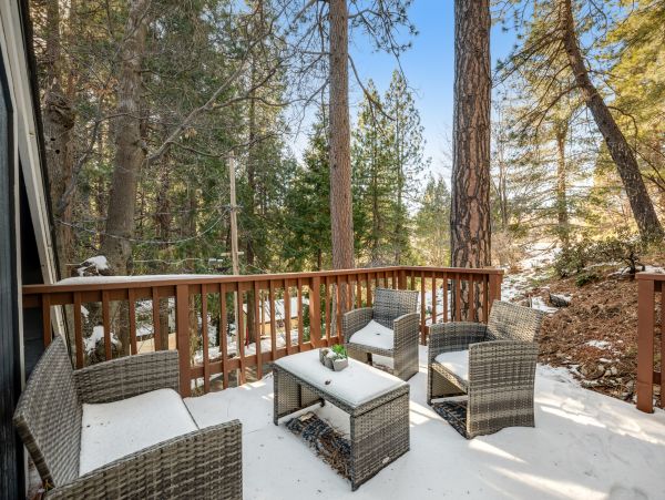Big Bear Home 1022805