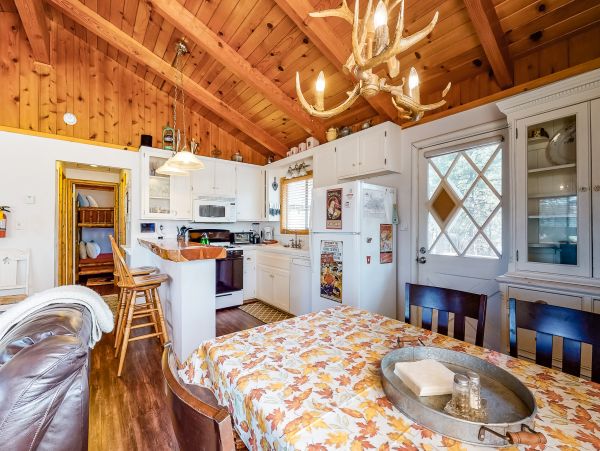 Big Bear Home 1022806
