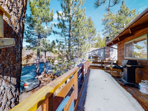 Big Bear Home 1022806