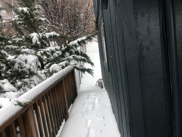 Big Bear Home 1022808