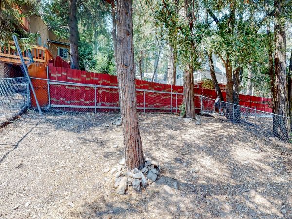 Big Bear Home 1022812