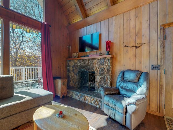 Big Bear Home 1022813