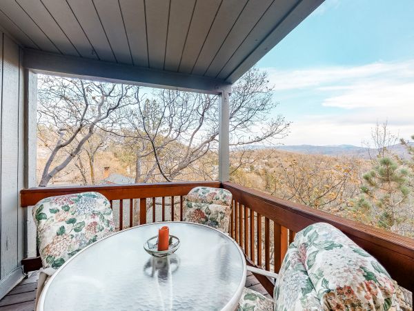 Big Bear Home 1022816