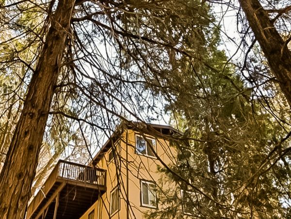Big Bear Home 1022817
