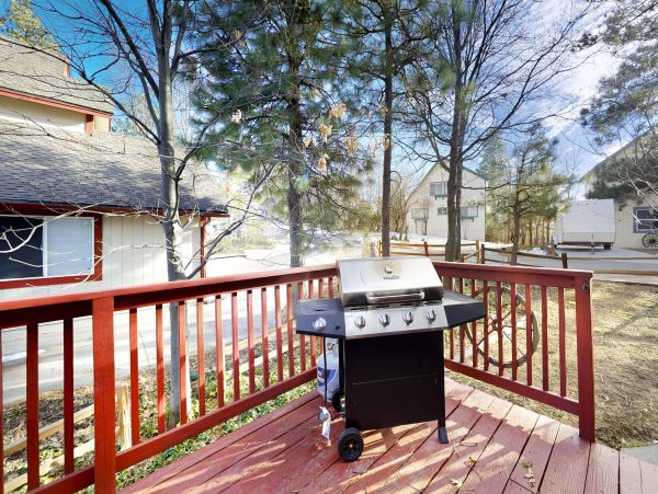 Big Bear Home 1022818