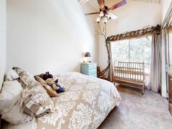 Big Bear Home 1022819