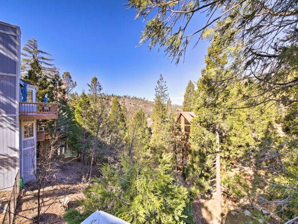 Big Bear Home 1022819