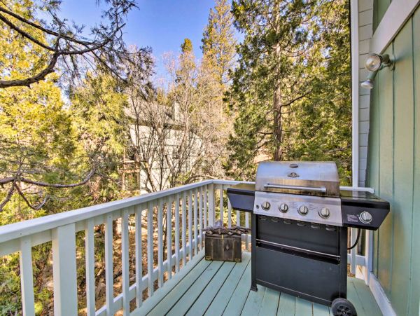 Big Bear Home 1022819