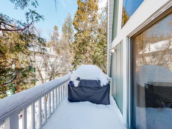 Big Bear Home 1022819