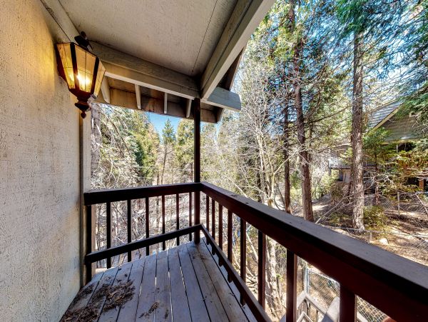 Big Bear Home 1022821