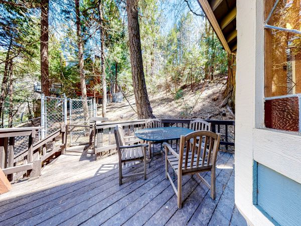 Big Bear Home 1022821