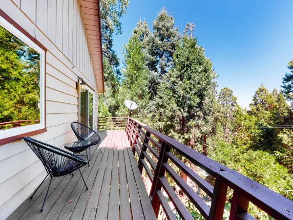 Big Bear Home 1022823