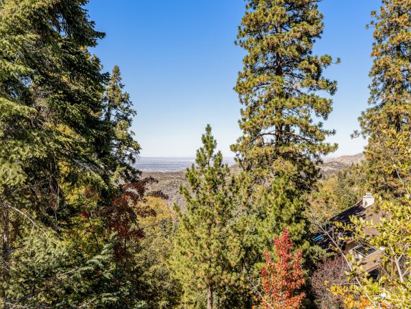 Big Bear Home 1022824