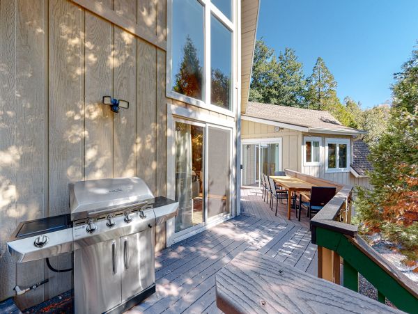 Big Bear Home 1022826