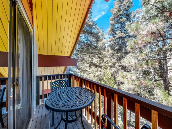 Big Bear Home 1022827
