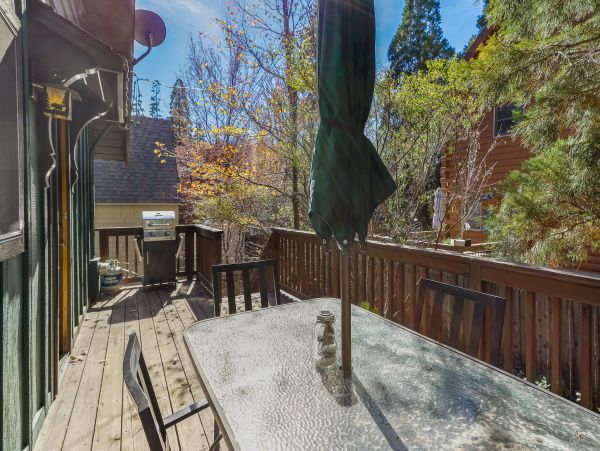 Big Bear Home 1022829