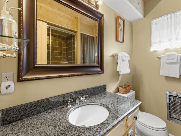 Big Bear Home 1022829