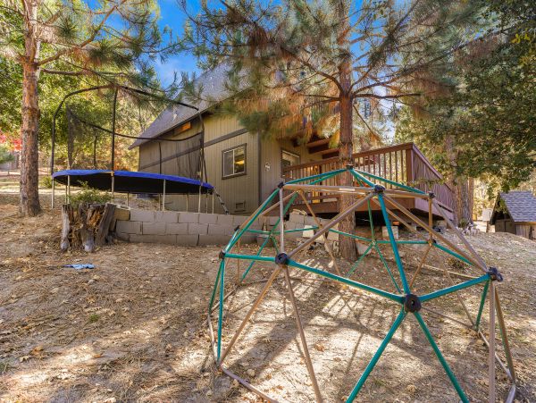 Big Bear Home 1022830