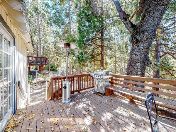 Big Bear Home 1022831