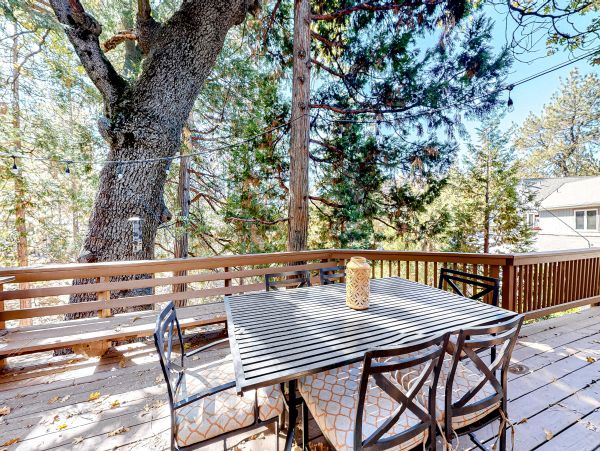 Big Bear Home 1022831