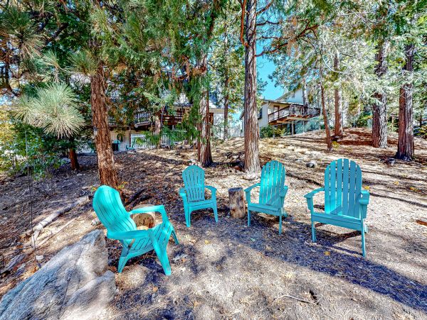 Big Bear Home 1022831