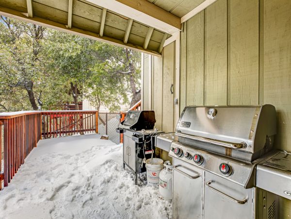 Big Bear Home 1022832