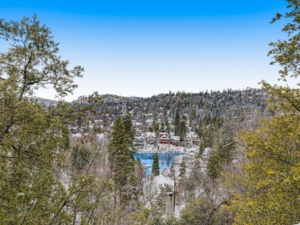 Big Bear Home 1022832